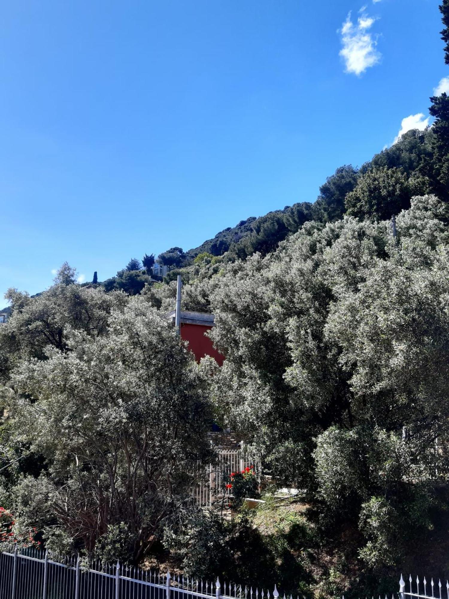 Spectacular Sea View - 3 Minutes Walk From The Sea Villa Laigueglia Ngoại thất bức ảnh